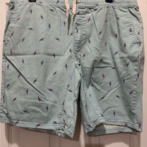 George Light Blue Shorts with Parrot Design